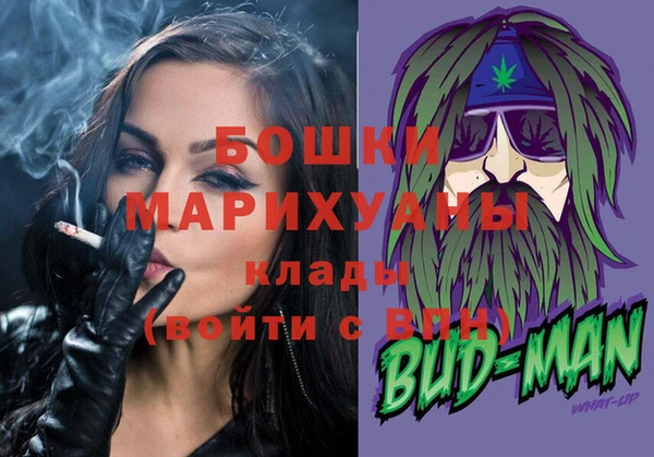 шишки Володарск