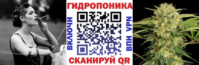 Купить  Куровское  Бошки Шишки семена 